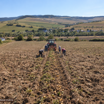 Poľnohospodársky pozemok na predaj v Lipanoch – 1 207 m²