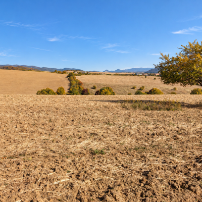 Pozemok na predaj Lipany – orná pôda 1 420 m²